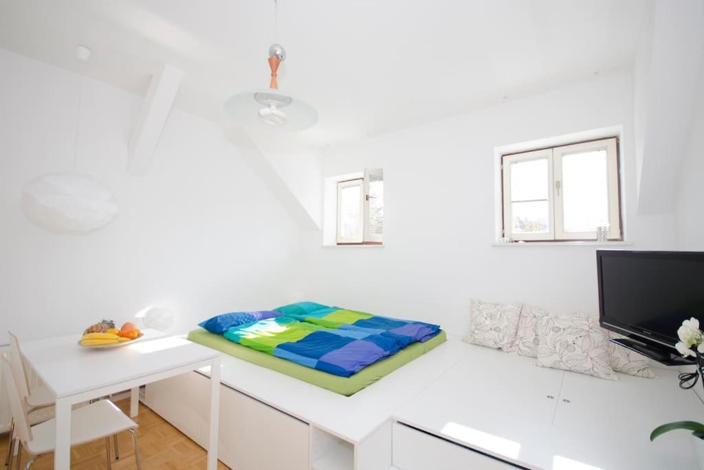The Cute, Sunny Apartment In The Center +P リュブリャナ エクステリア 写真