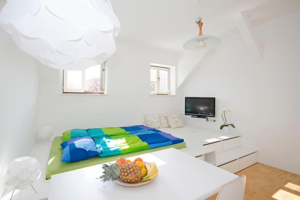 The Cute, Sunny Apartment In The Center +P リュブリャナ エクステリア 写真