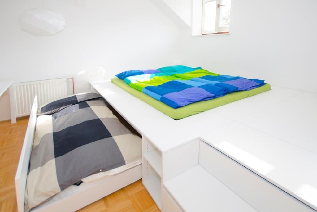 The Cute, Sunny Apartment In The Center +P リュブリャナ エクステリア 写真