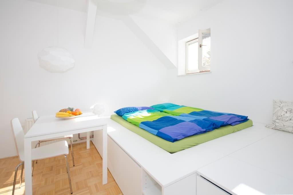 The Cute, Sunny Apartment In The Center +P リュブリャナ エクステリア 写真