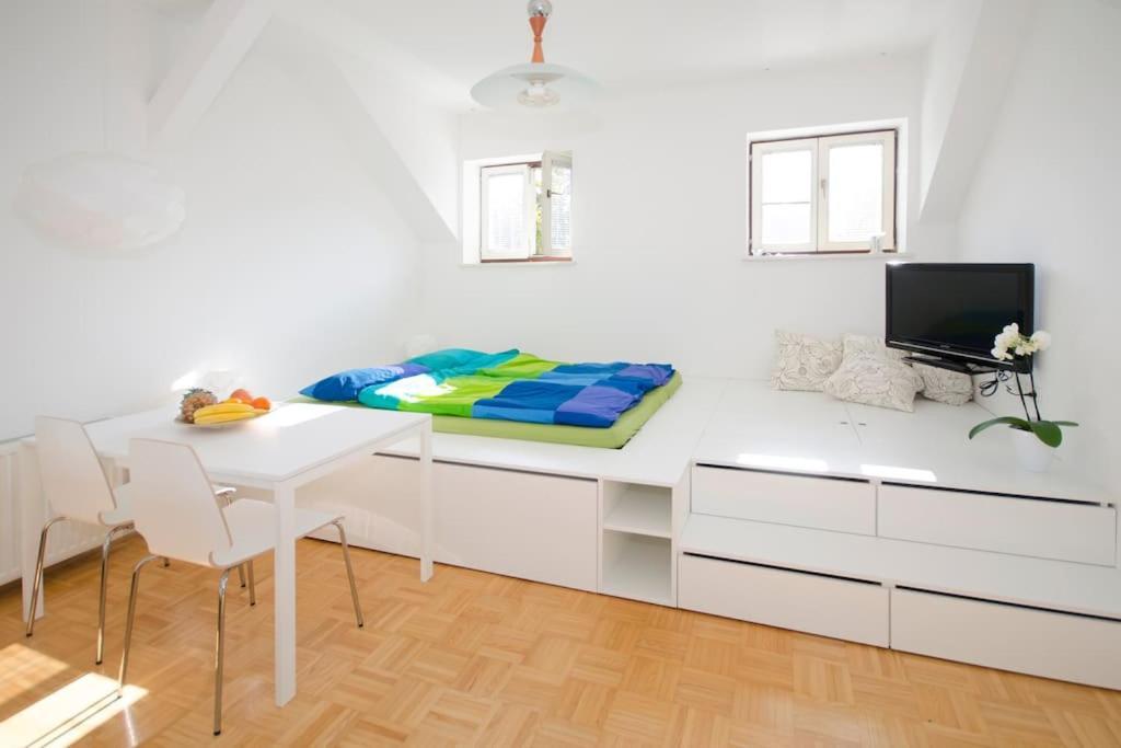 The Cute, Sunny Apartment In The Center +P リュブリャナ エクステリア 写真