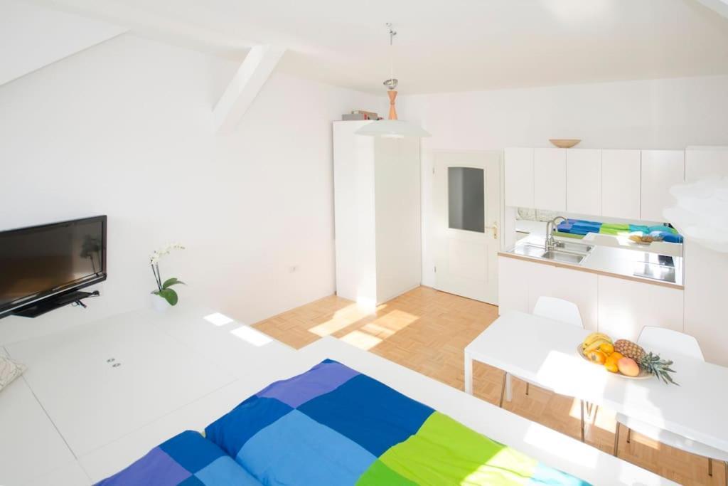 The Cute, Sunny Apartment In The Center +P リュブリャナ エクステリア 写真