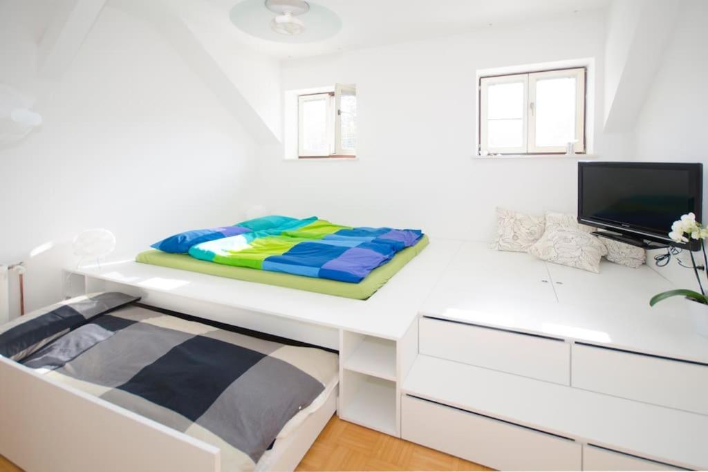 The Cute, Sunny Apartment In The Center +P リュブリャナ エクステリア 写真